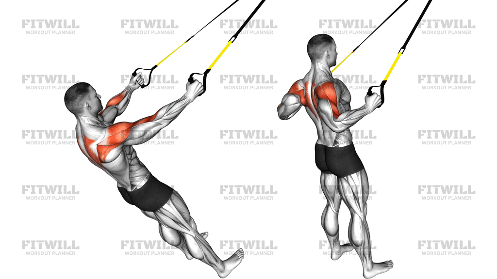 Suspender Rear Delt Row