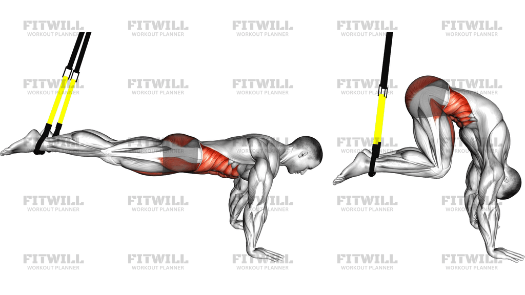 Suspender Reverse Ab Rollout