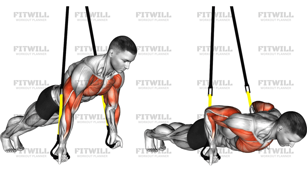 Suspender Reverse Push Up