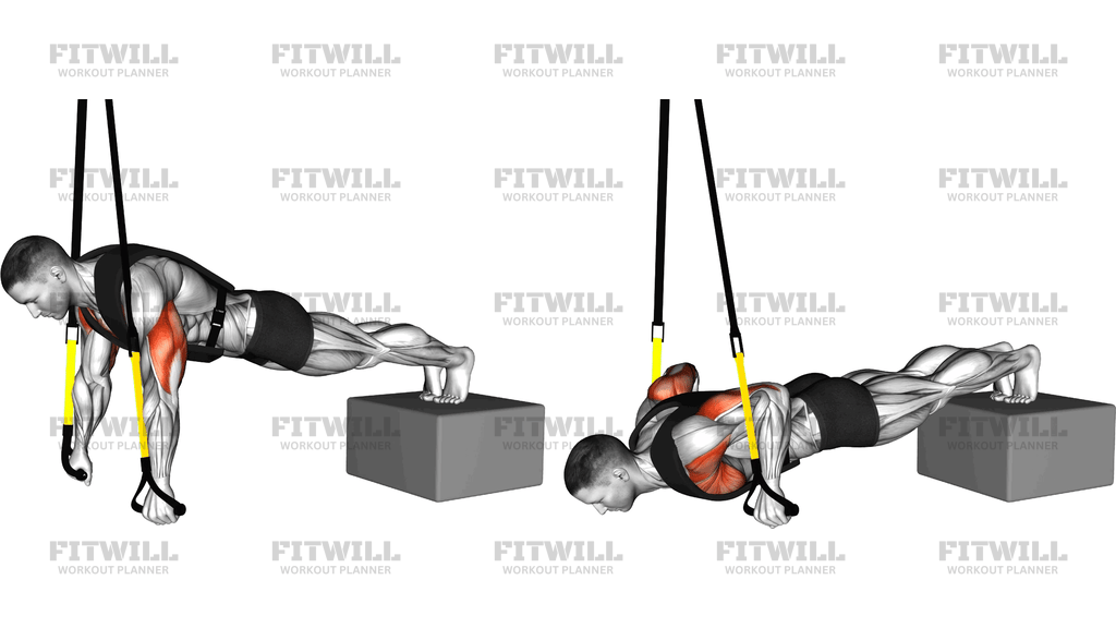 Suspender Weighted Vest Decline Push Up