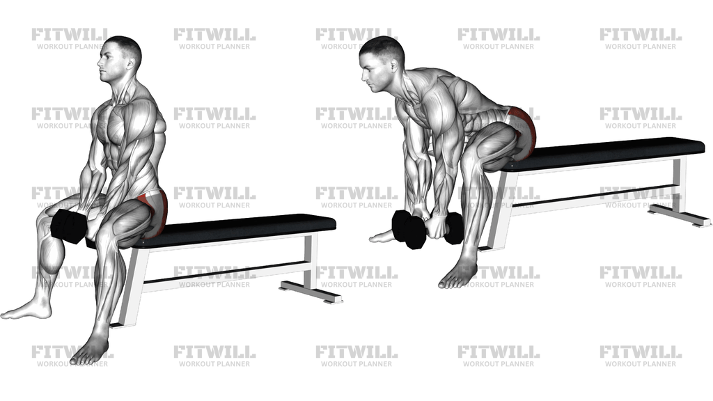 Dumbbell Sitting Good Morning