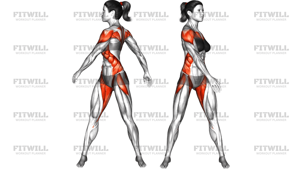 Standing Torso Twist Arms Swing