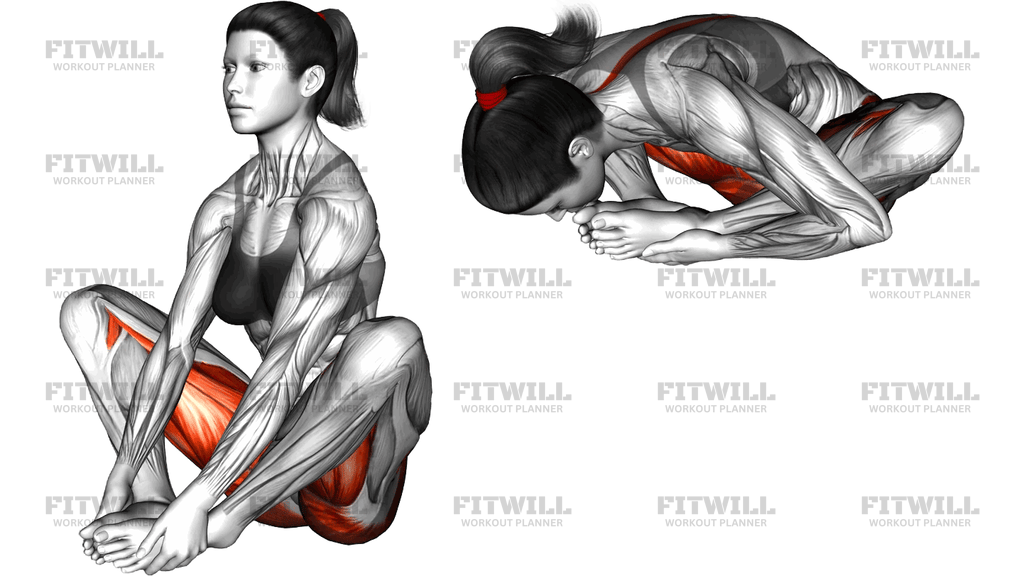 Butterfly Forward Leaning