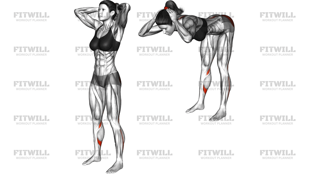 Bodyweight Hands Behind Head Romanian Deadlift