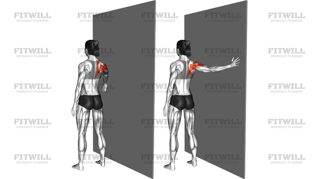 Standing Single Arm Circle On A Wall