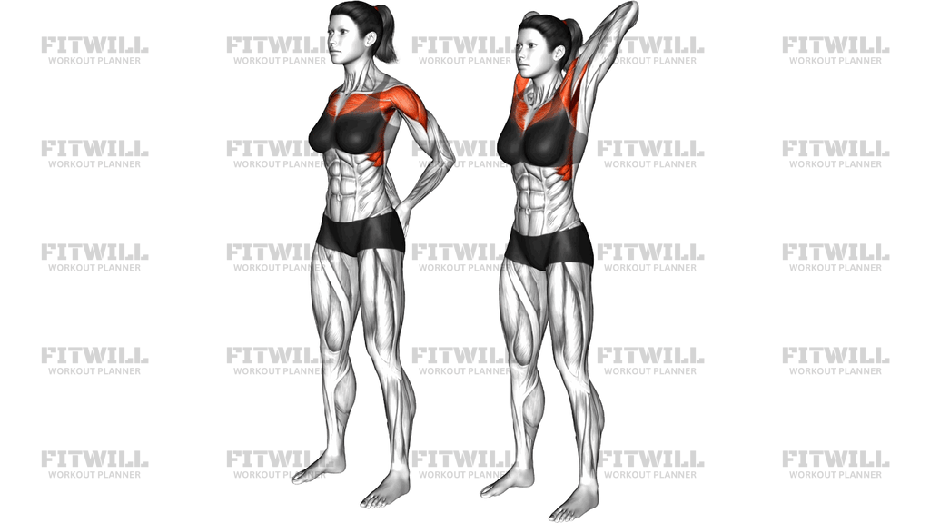 Standing Alternating Upper And Lower Back Clap