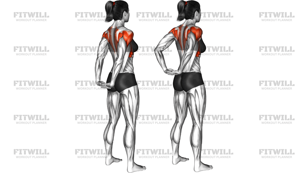 Bodyweight Rear Delt And Back Raise