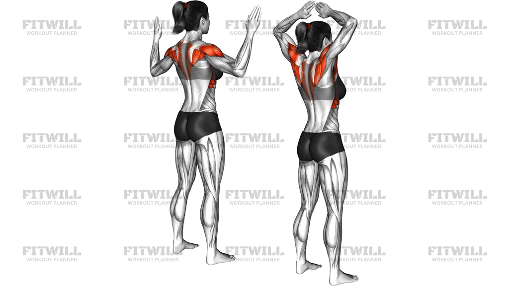 Standing Behind Head Crossover And Back Squeeze