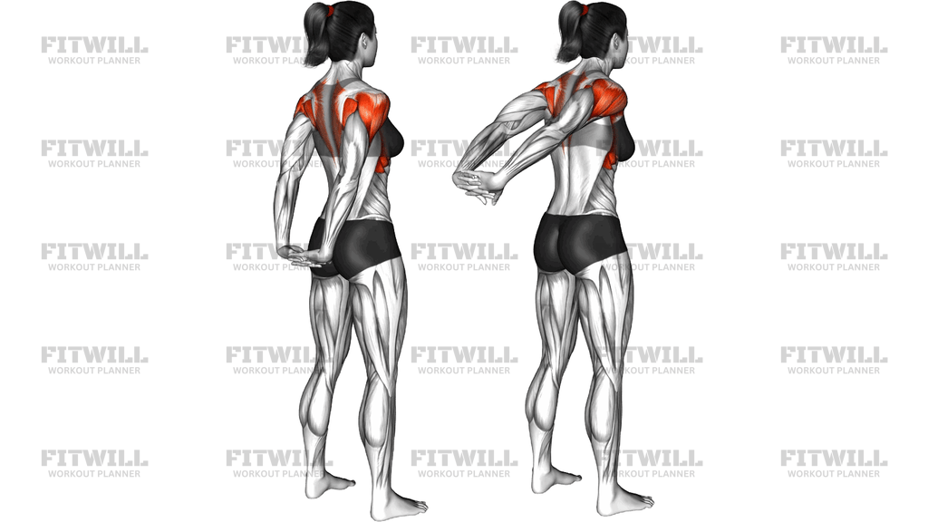 Standing Back Pulsing Raise