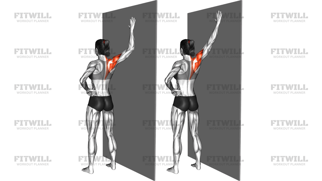 Standing Single Shoulder Stretch Wall Supported