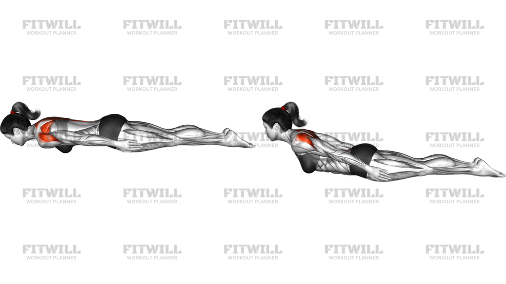 Lying Hands On Side Upper Body Raise