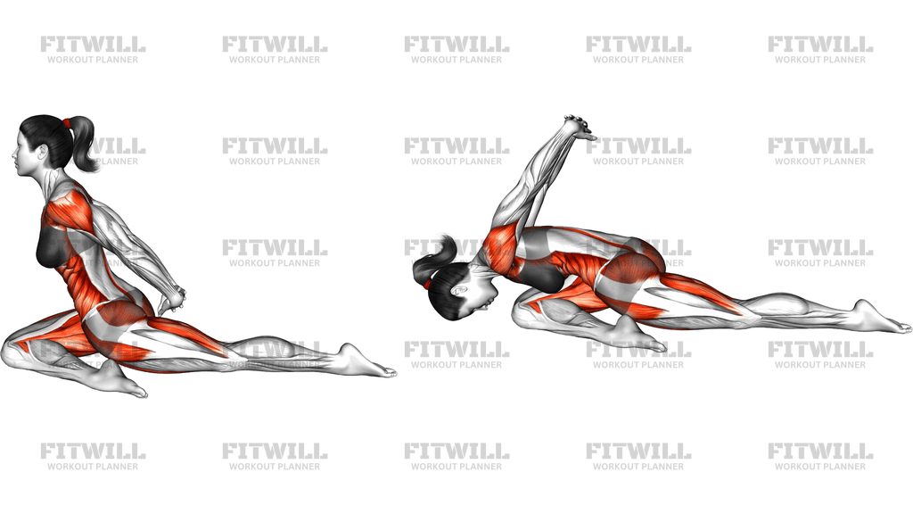 Pigeon Delt Raise