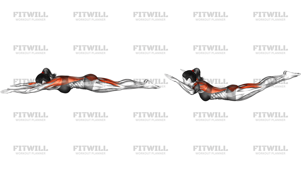 Superman Lift And Lat Pulldown