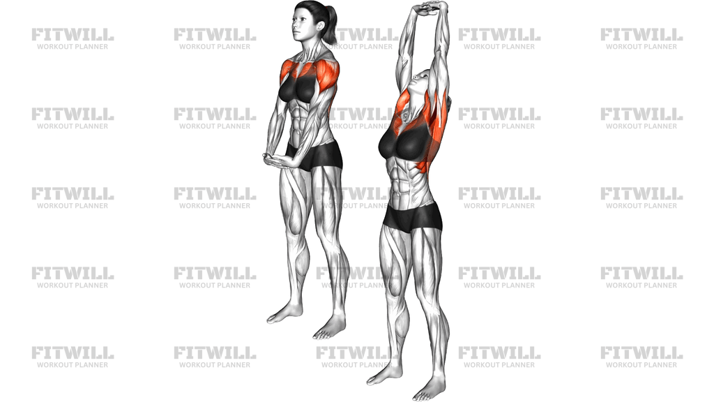 Standing Interlock Hands Full Stretch