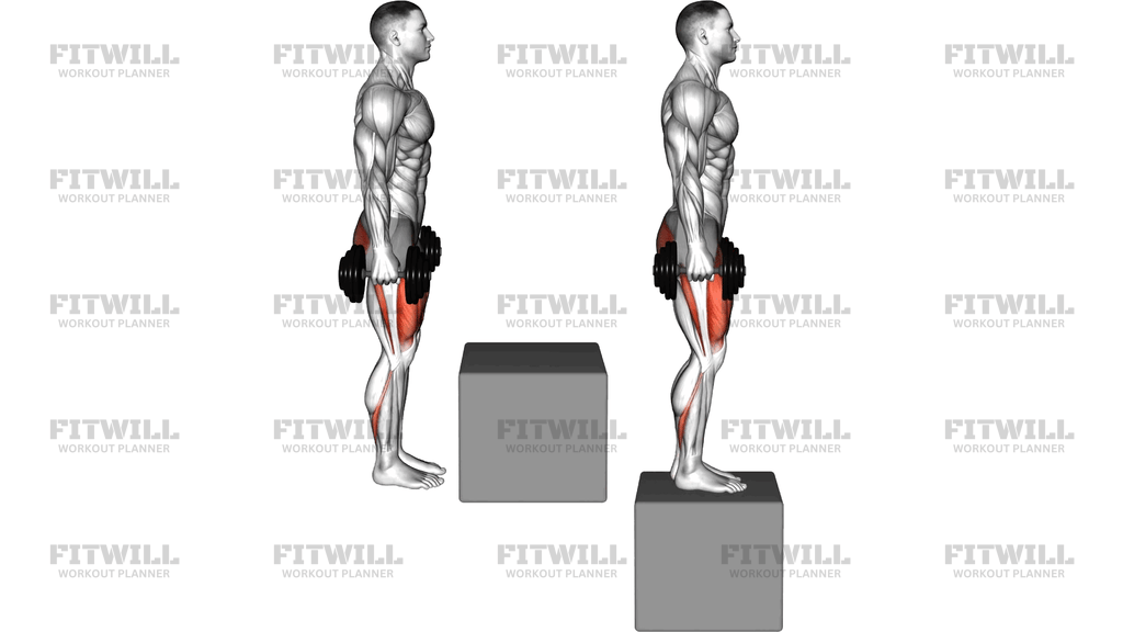 Dumbbell Step Over Box