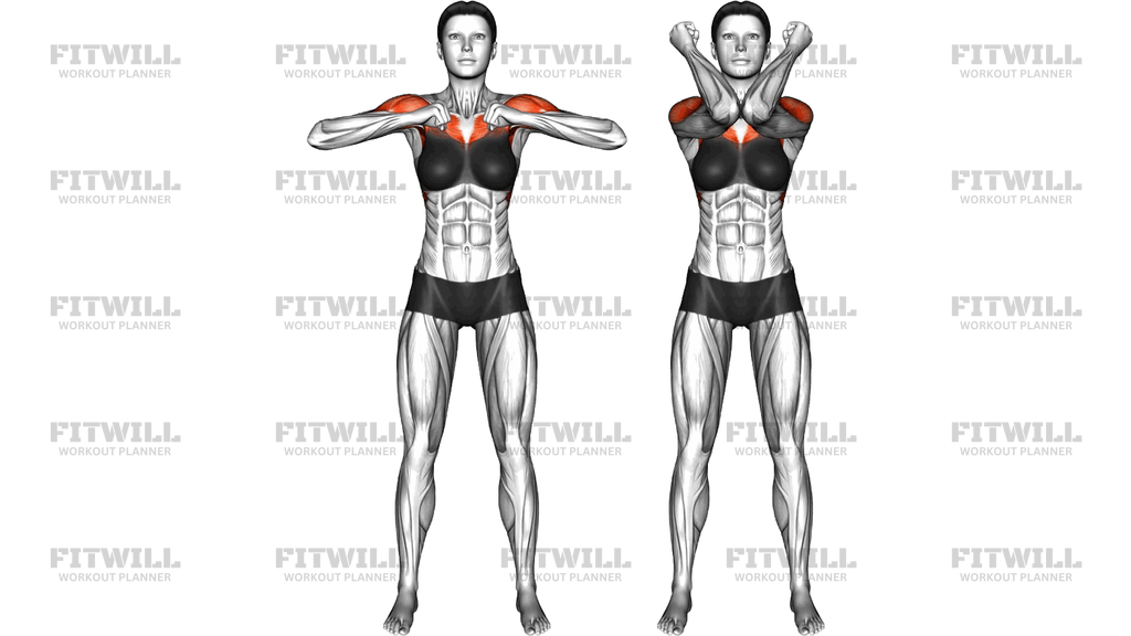 Standing Double Elbow Touch And Elbow Raise
