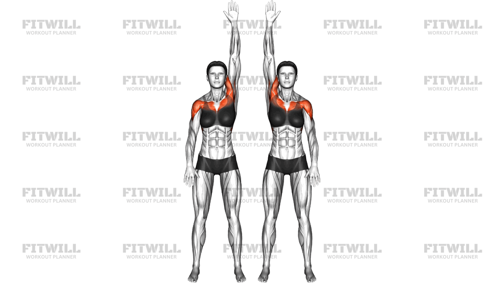Standing Alternating Arm Lift