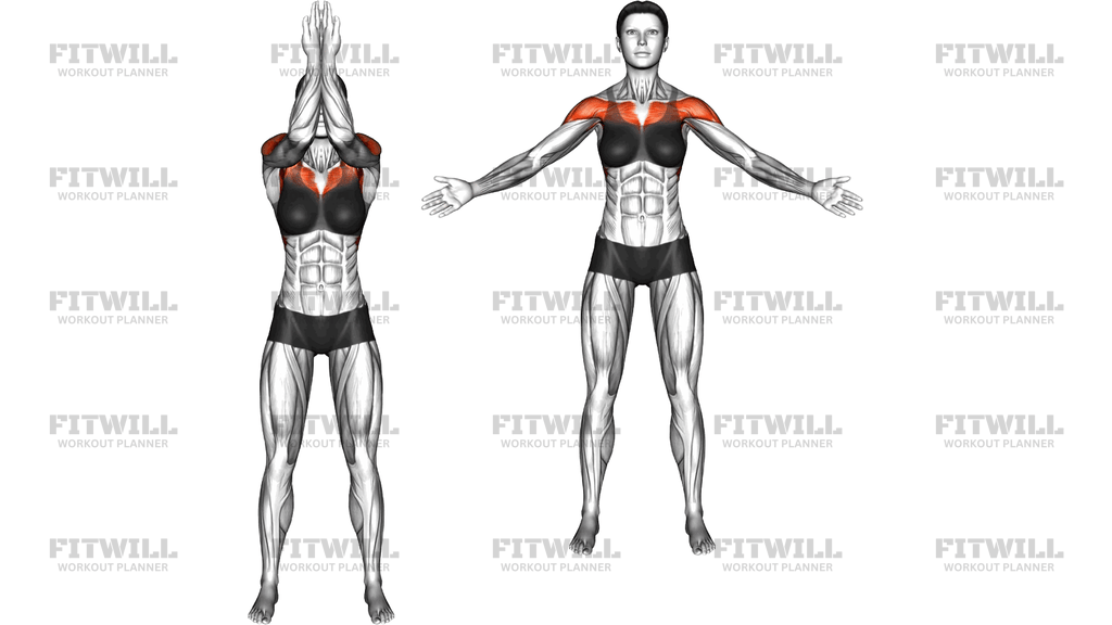 Standing Reverse Palm Prayer Push And Side Raise