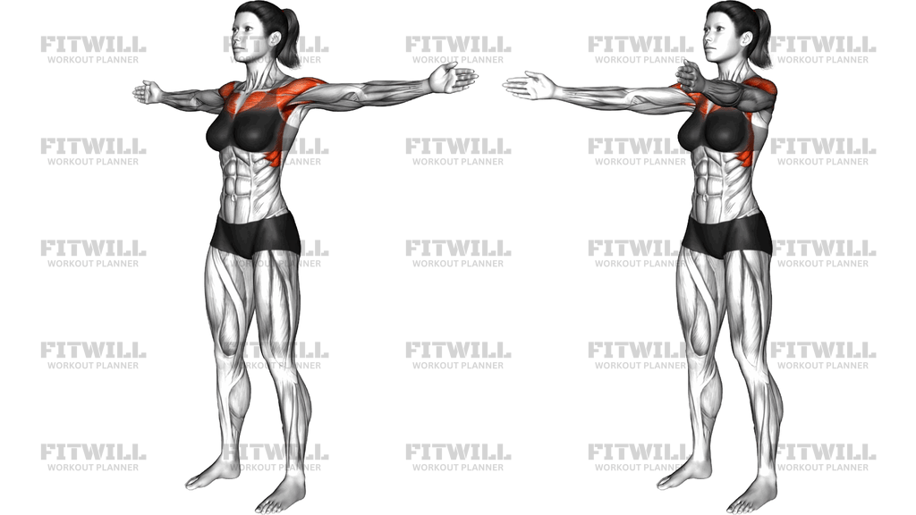 Standing Triple Straight Arm Chest Fly