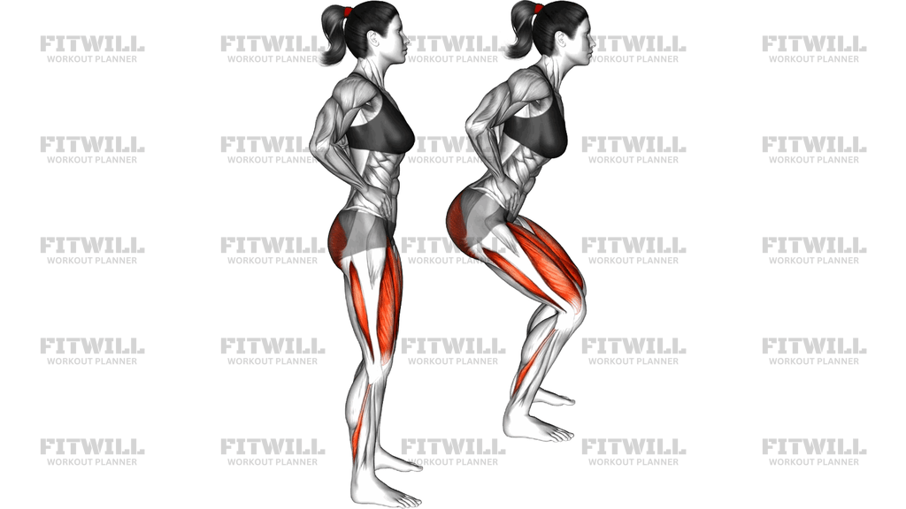 Alternate Squat To Front Lunge