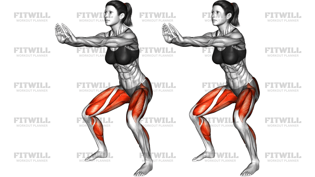 Squat Side Walk