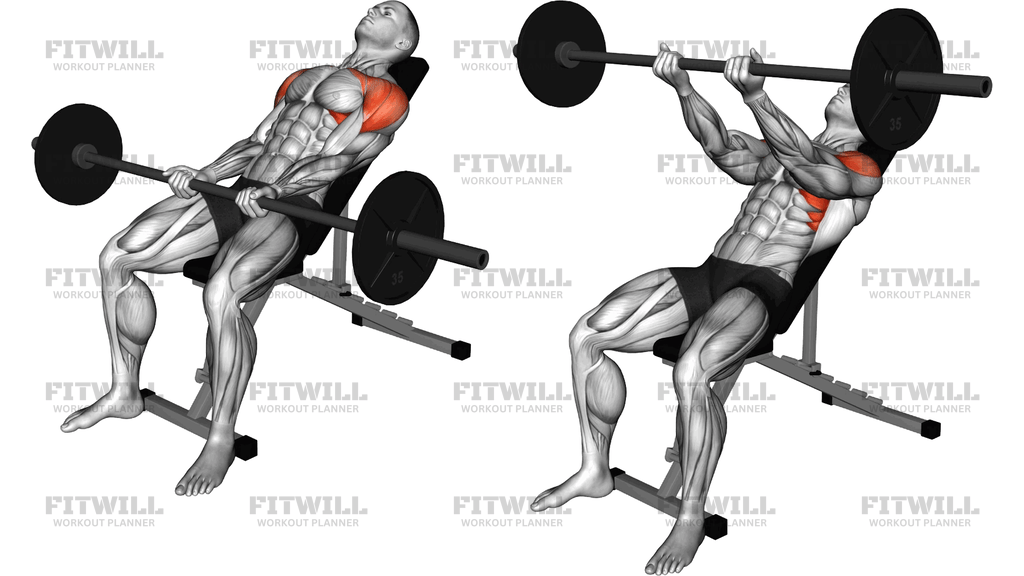 Barbell Incline Front Raise