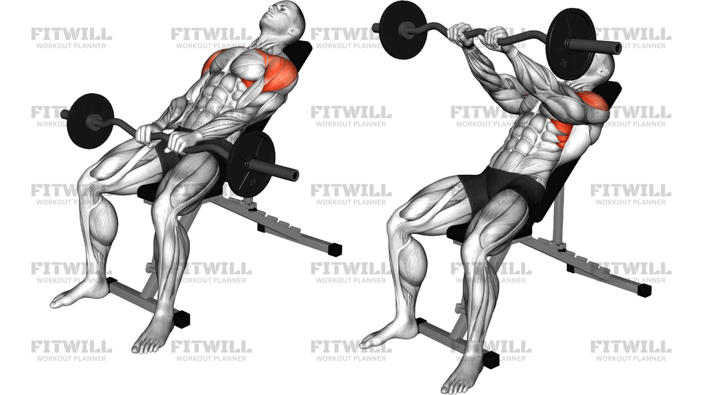 Ez Bar Incline Pronated Grip Front Raise