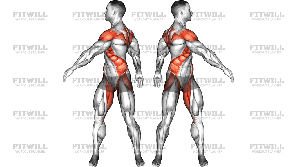 Standing Torso Twist Arms Swing