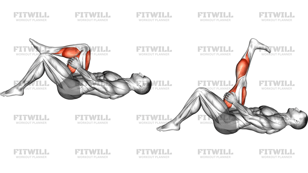 Lying Single Leg Extension