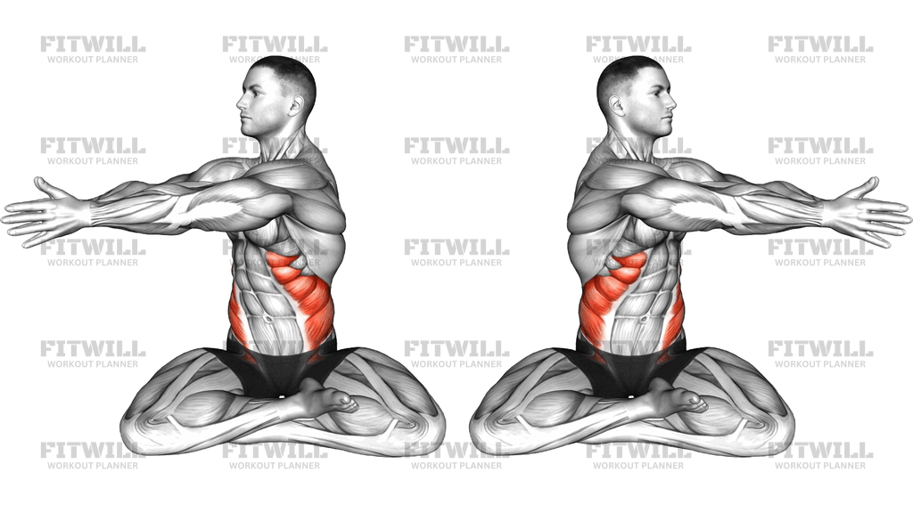 Sitting Abs Twist