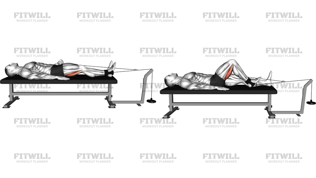 Lever Lying Knee Flexion