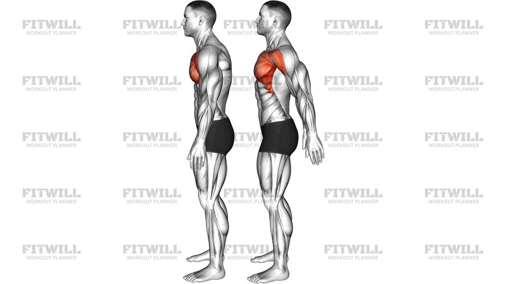 Standing Hands Behind Chest Stretch