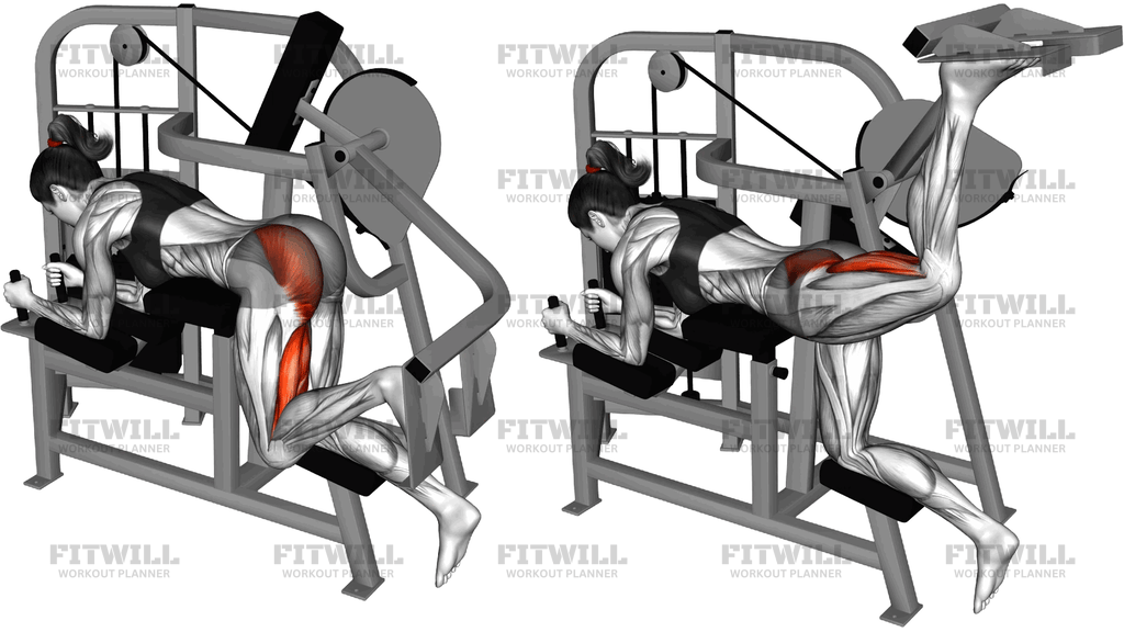 Lever Hip Extension (Version 2)