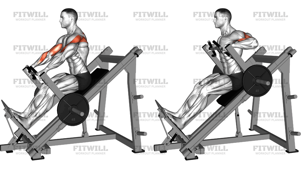 Lever Linear Delt Row