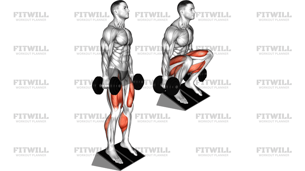 Dumbbell Elevated Heel Front Squat