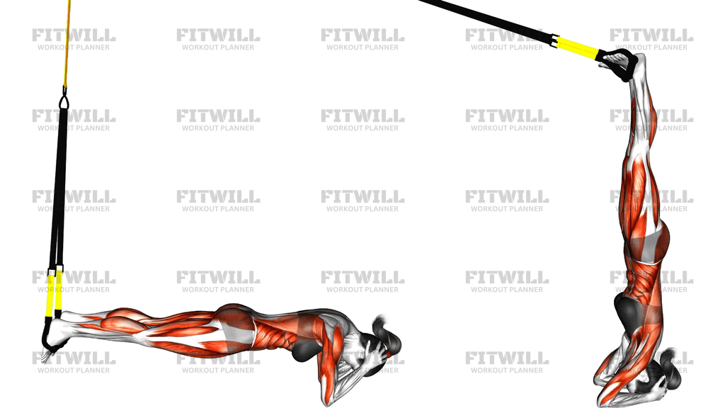 Suspender Headstand