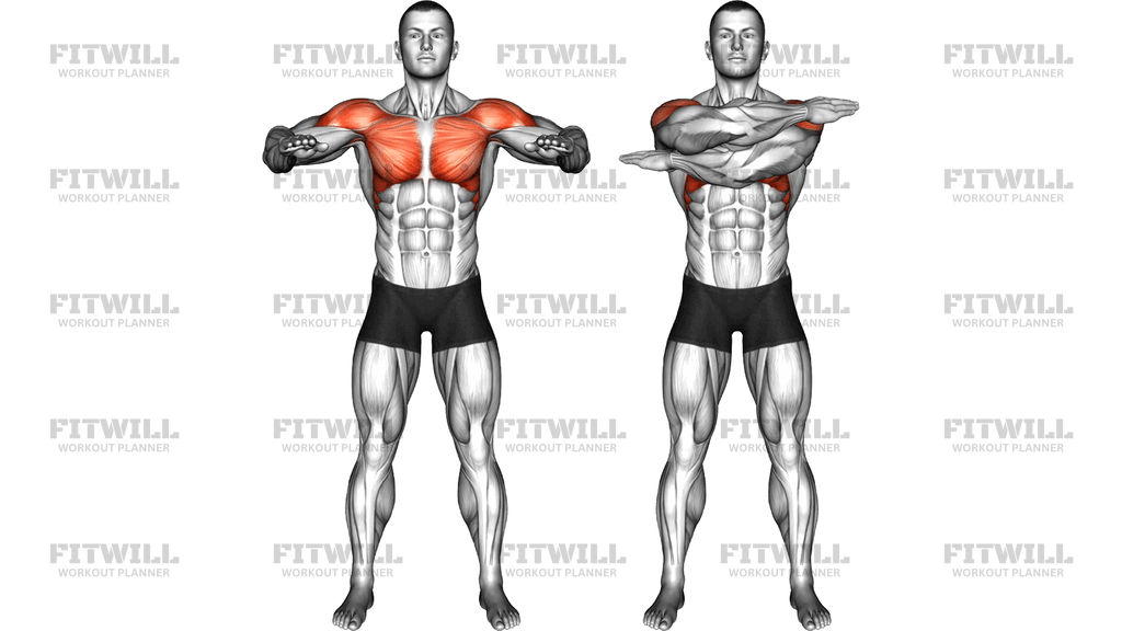 Standing Chest Cross Stretch