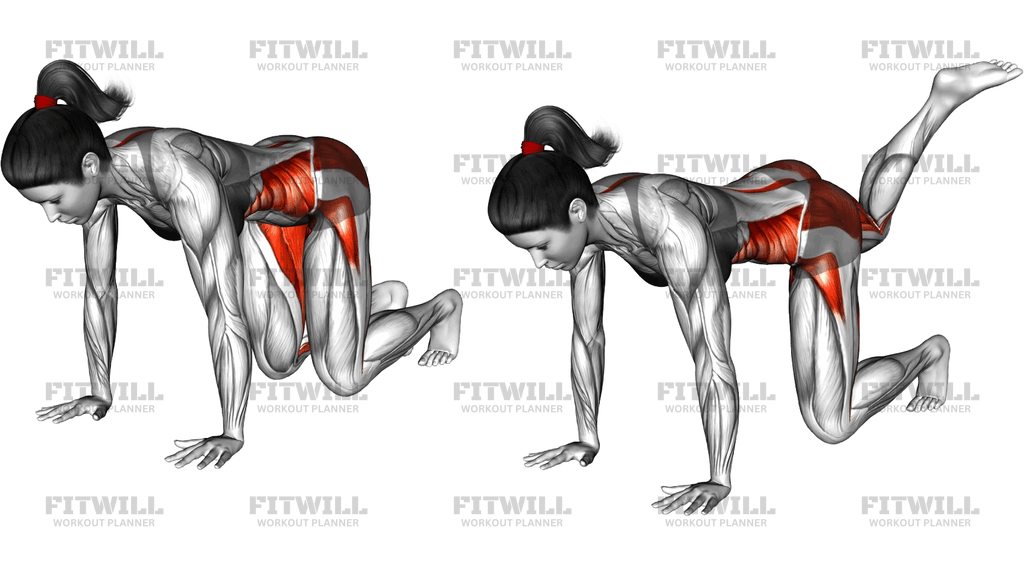 Kneeling Alternating Leg Lift Crossover