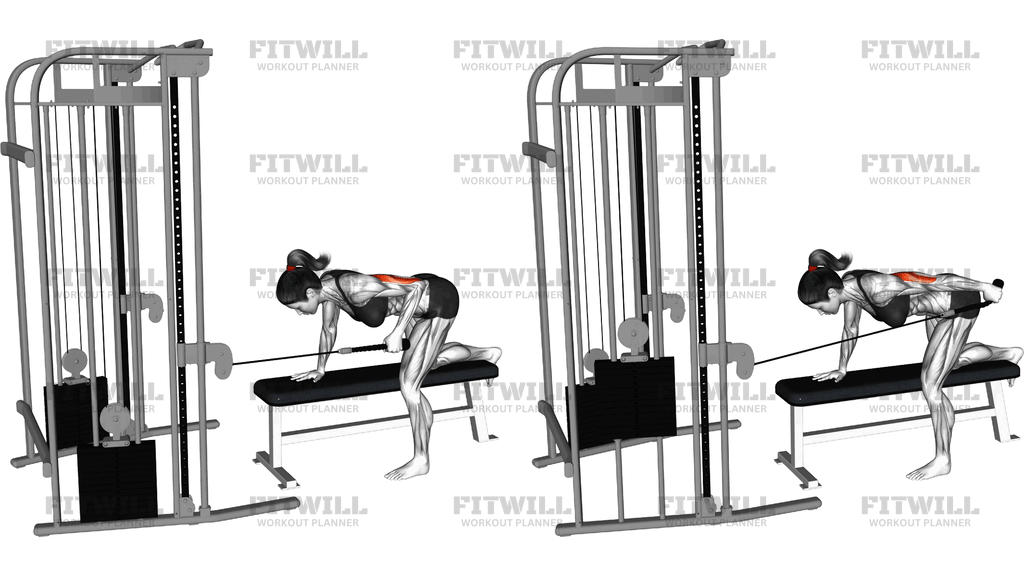 Cable Bent Over Single Arm Neutral Grip Kickback W