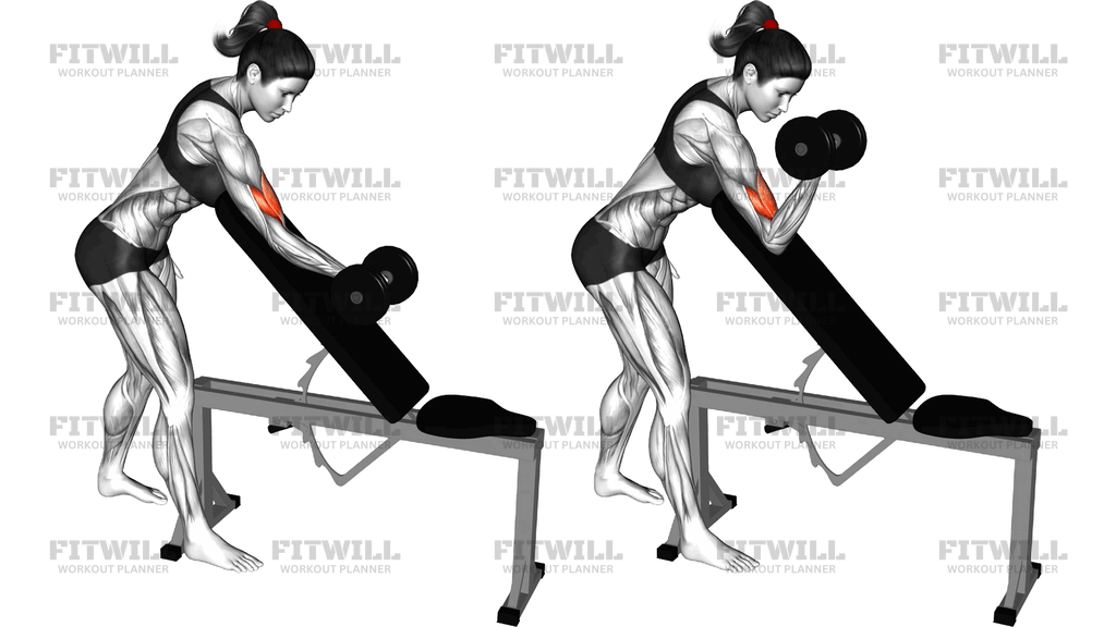 Dumbbell Standing One Arm Curl Over Incline Bench
