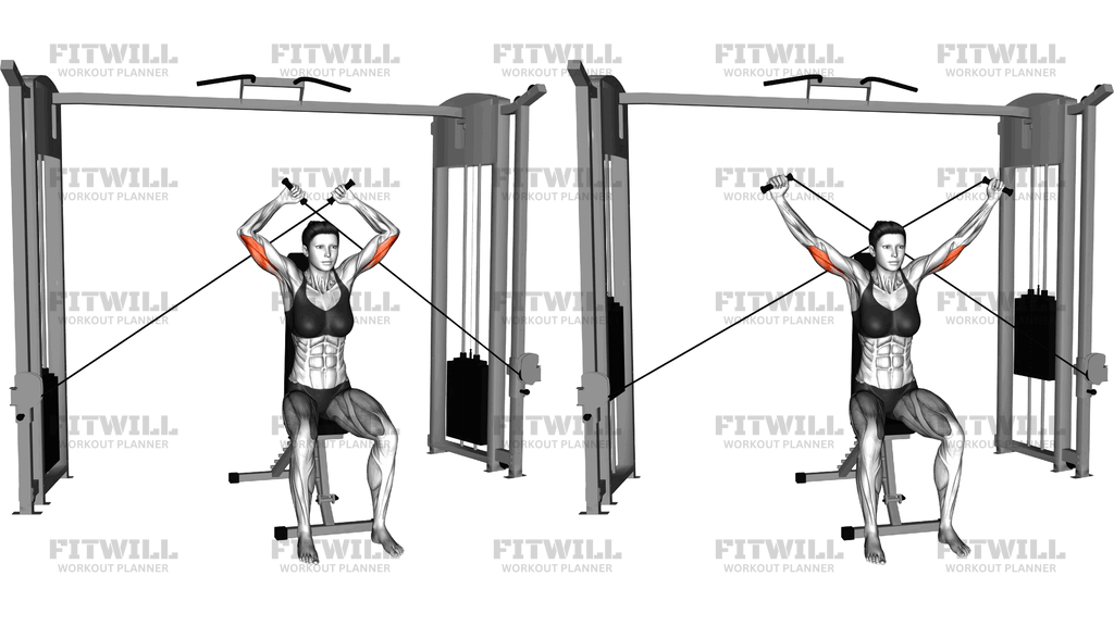 Cable Seated High Triceps Extension