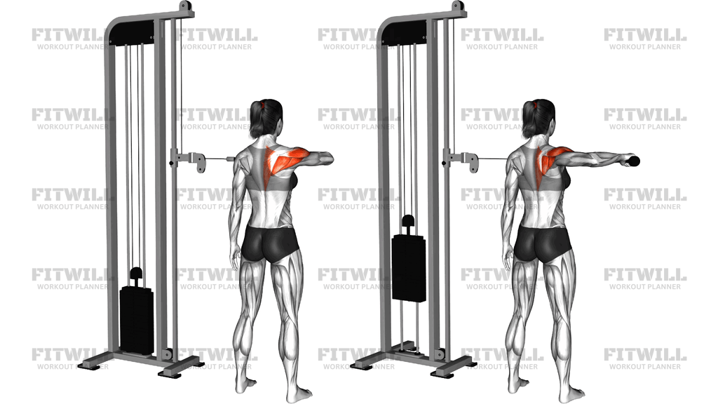 Cable Standing Single Delt Row