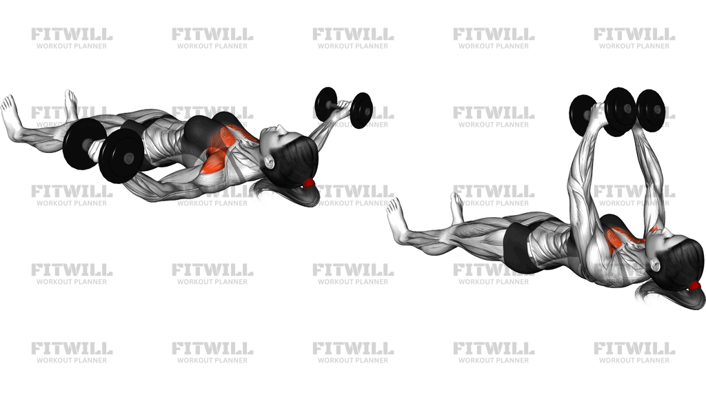Dumbbell Floor Fly