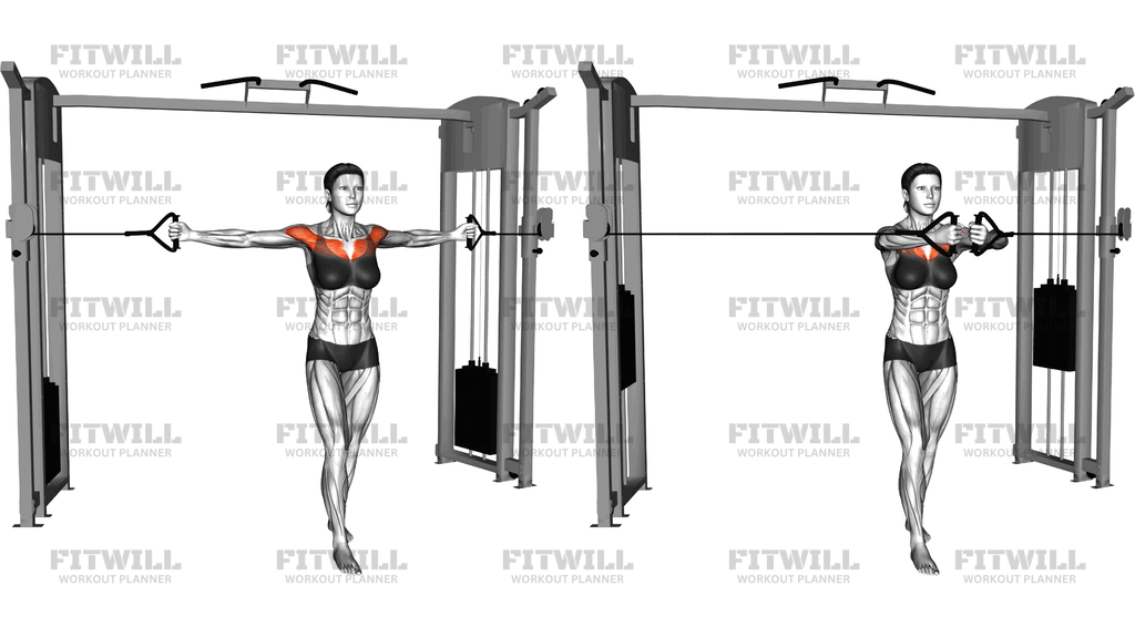 Cable Middle Fly