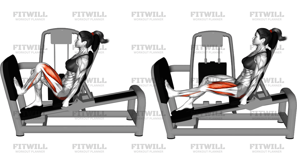 Lever Seated Single Leg Press (Version 2)