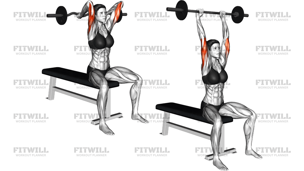 Ez Barbell Seated Triceps Extension