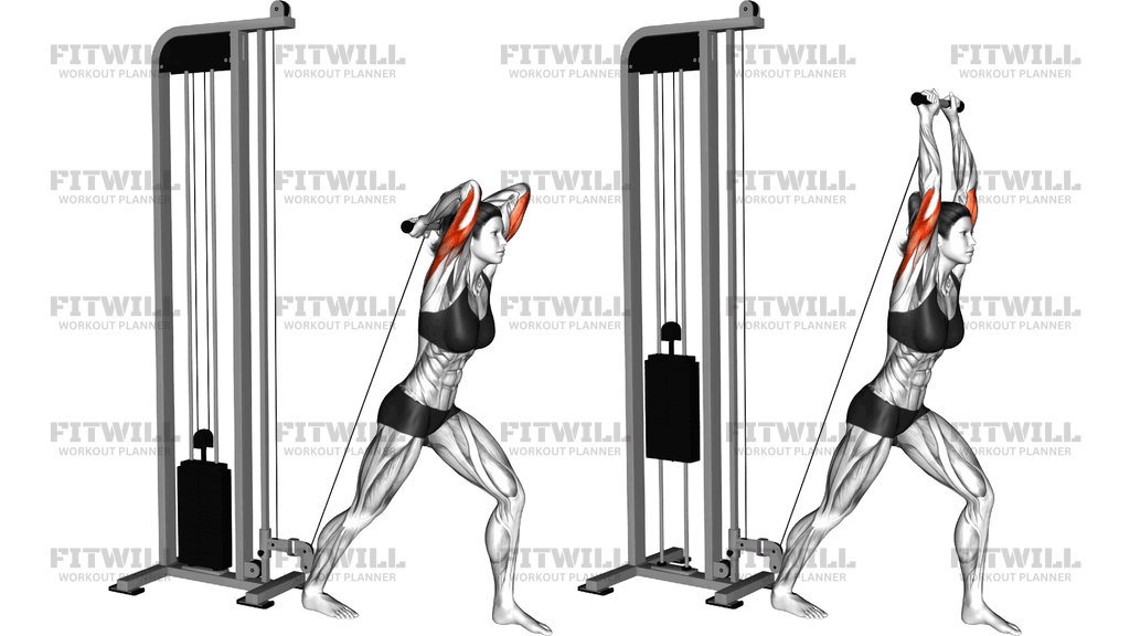 Cable Overhead Tricep Extension Straight Bar