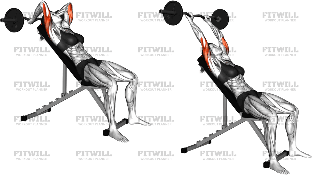 Ez Barbell Incline Triceps Extension