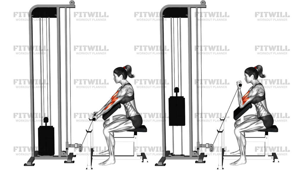 Cable Preacher Curl