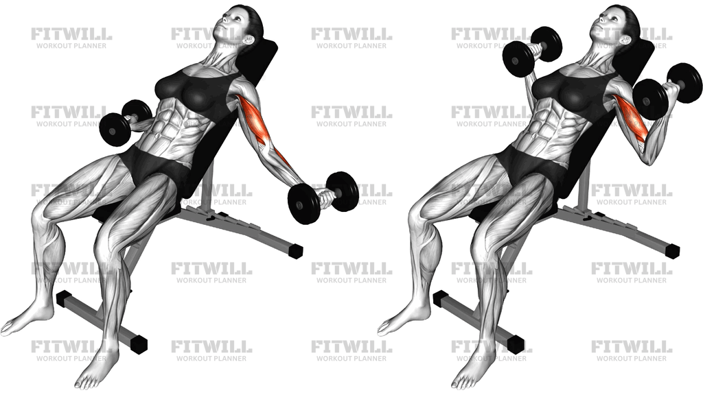 Dumbbell Incline Inner Biceps Curl